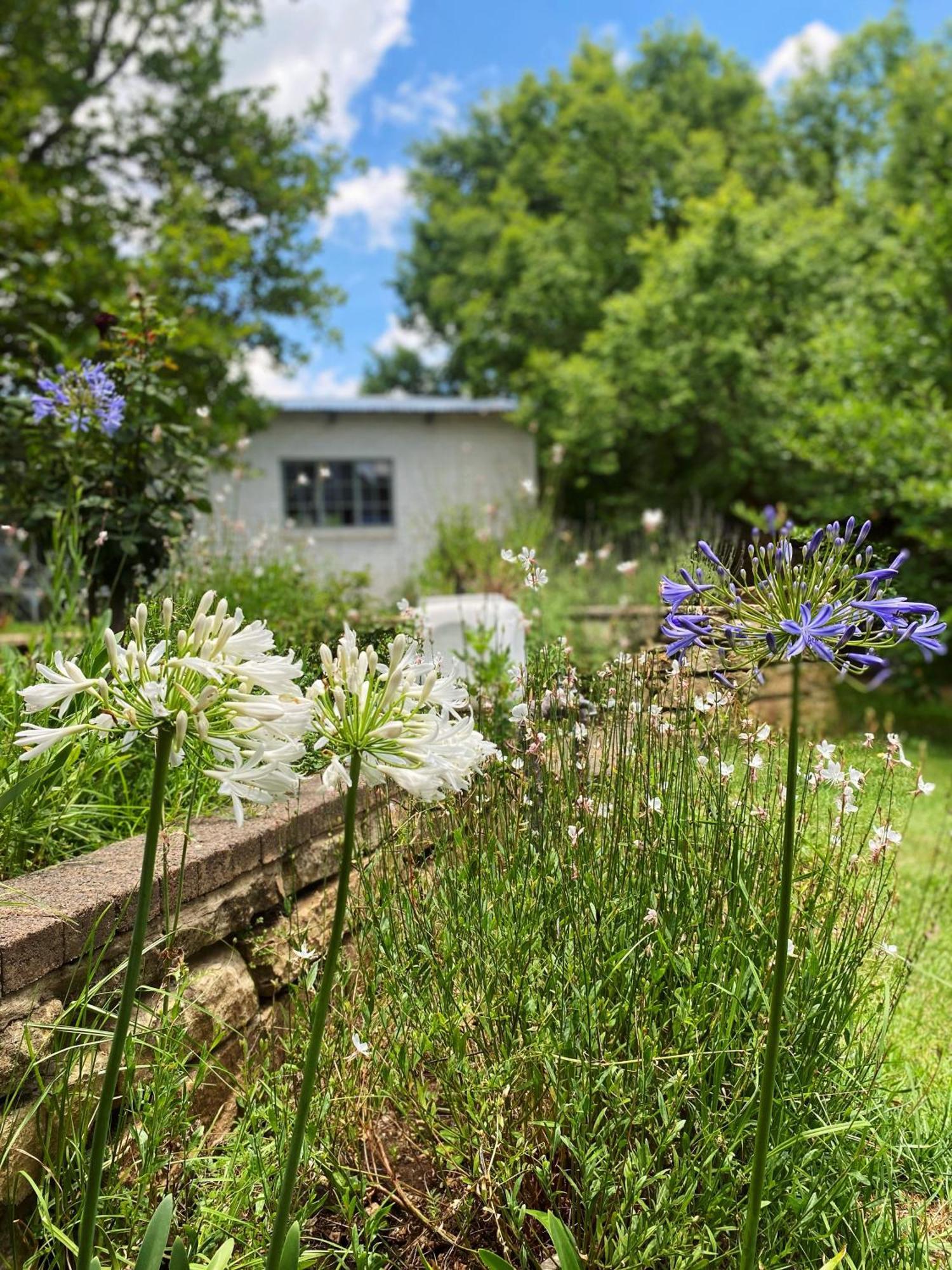 Collett House And Lavender Cottage Clarens Dış mekan fotoğraf