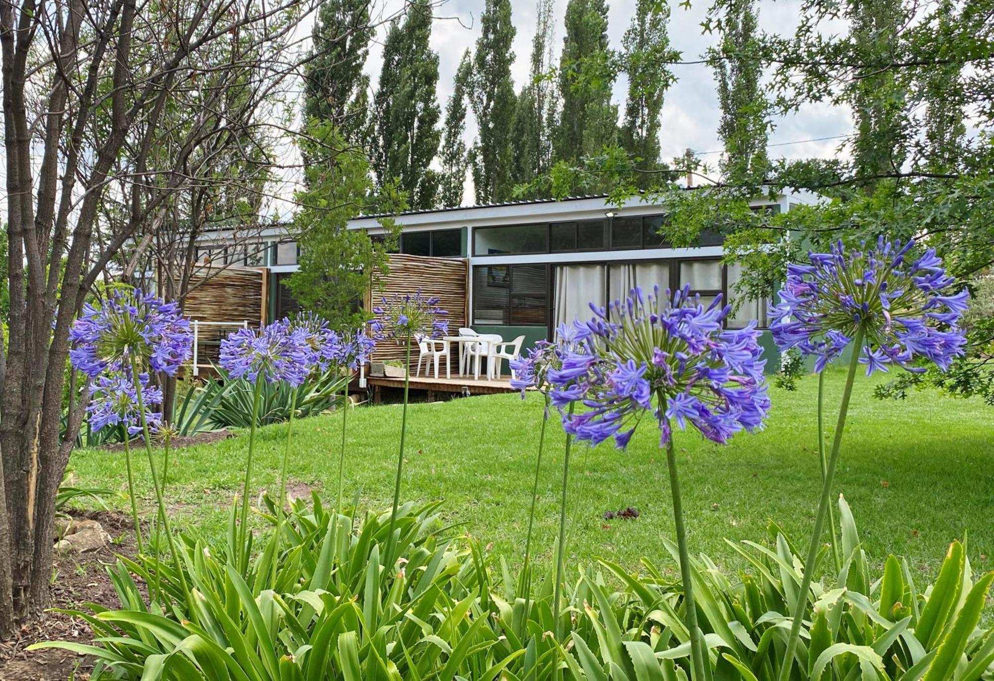 Collett House And Lavender Cottage Clarens Dış mekan fotoğraf